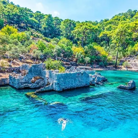 Daire Olivia At - Ölüdeniz